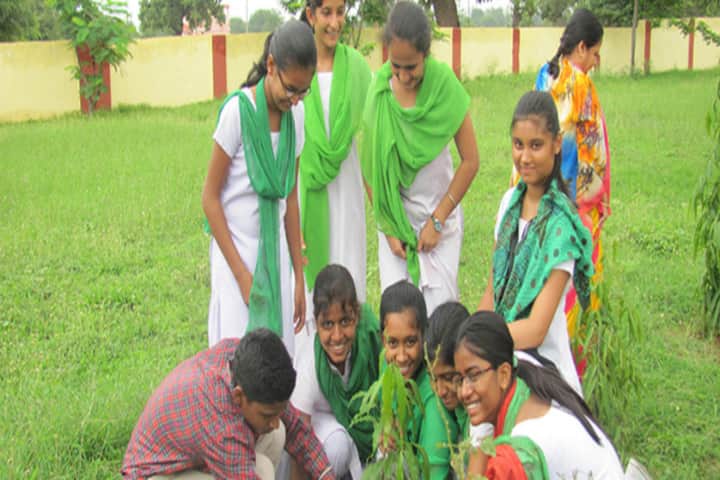 DAV Public School-Tree Plantation