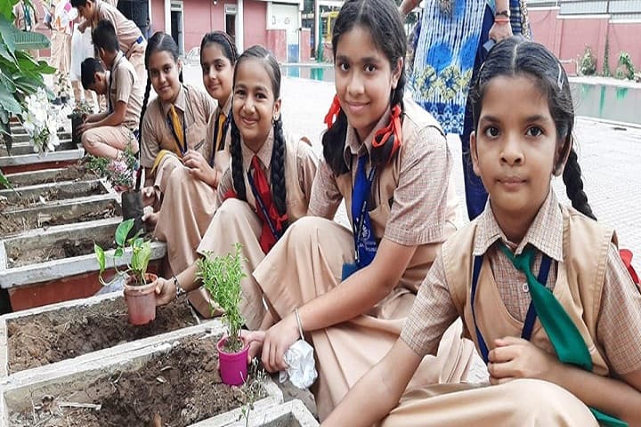 Ryan International School-Others plantation