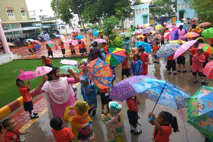 Divine International School-Others