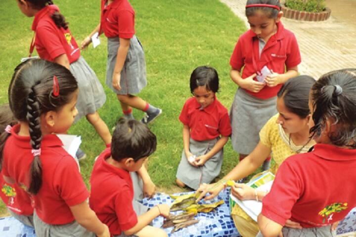 Redbricks School-Others