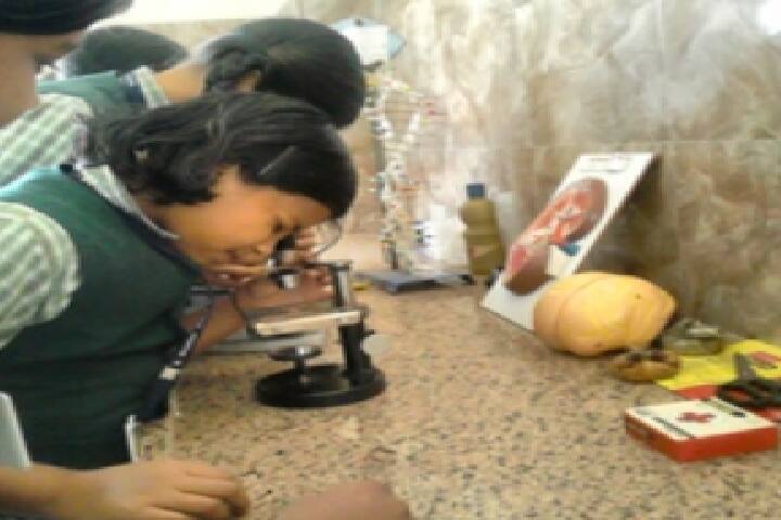 S B Sharma World School-Laboratory biology