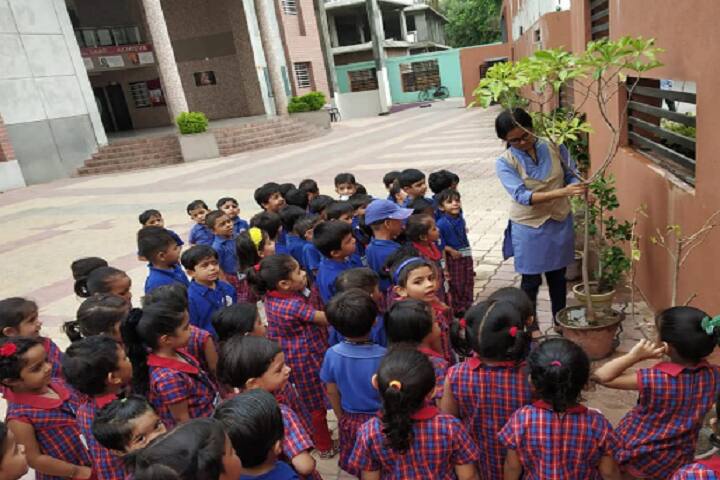 S B Sharma World School-Others plantation