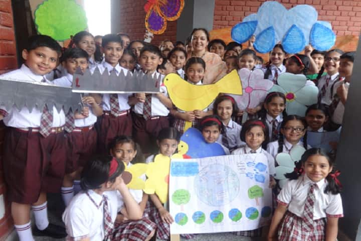 Little Flower Convent School-Others activity