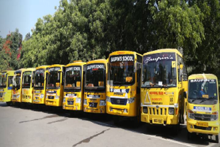 SaupinS School-Transport