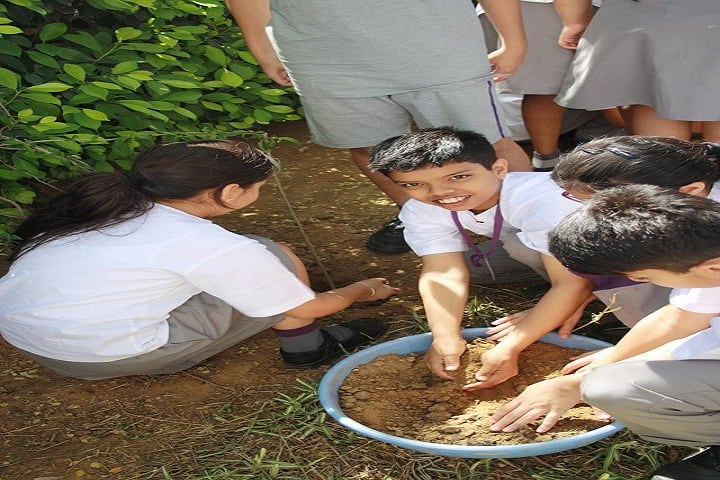 Matrikiran High School-Plantation