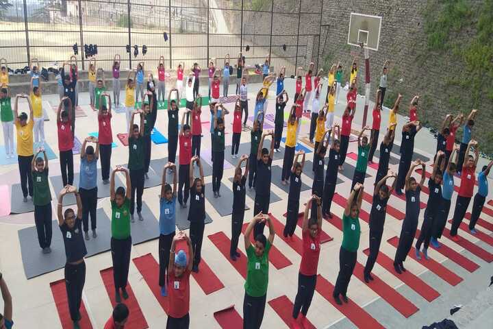 Shimla Public School-Yoga Day