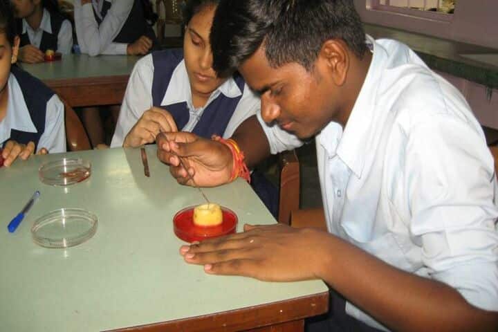 Gulmohur High School-Biology Lab