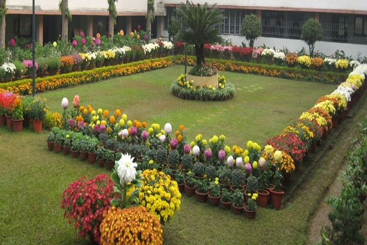 Gulmohur High School-Garden