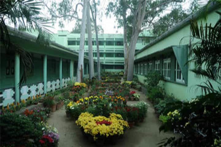 Little Flower School-Garden