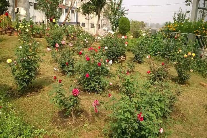 St JosephS Convent High School-Garden