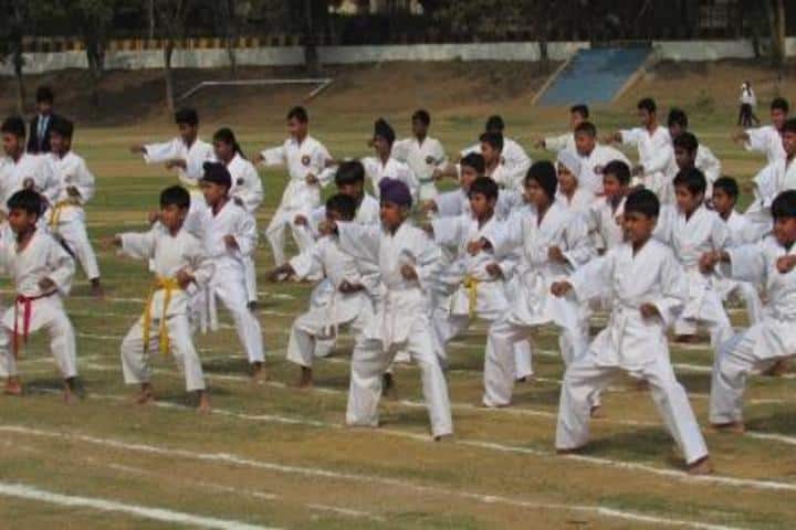 Narbheram Hansraj English School-Martial Arts