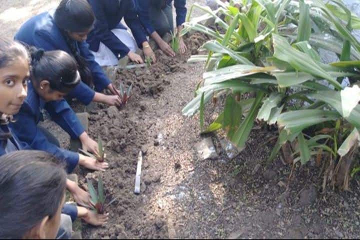 Motilal Nehru Public School-Plantation Activity
