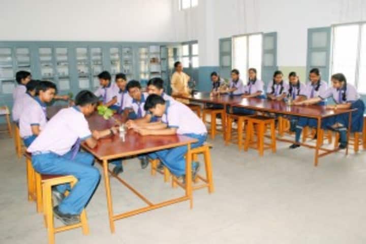 St Anns School-Library