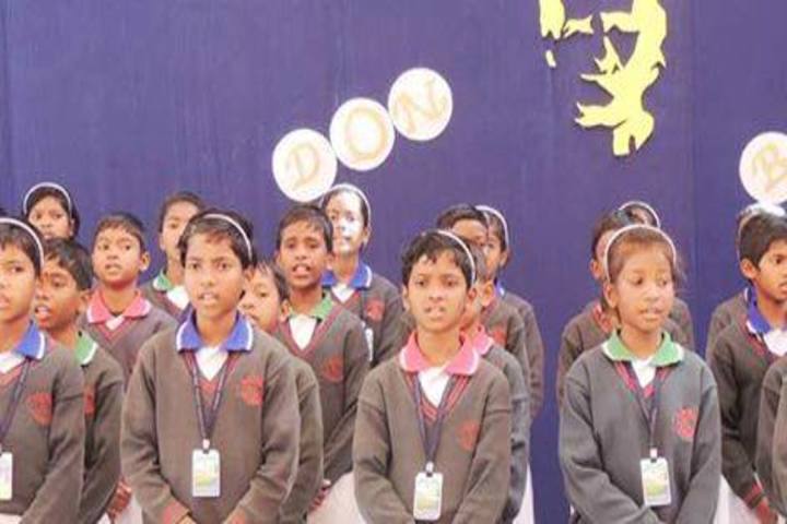 Don Bosco School-Activity