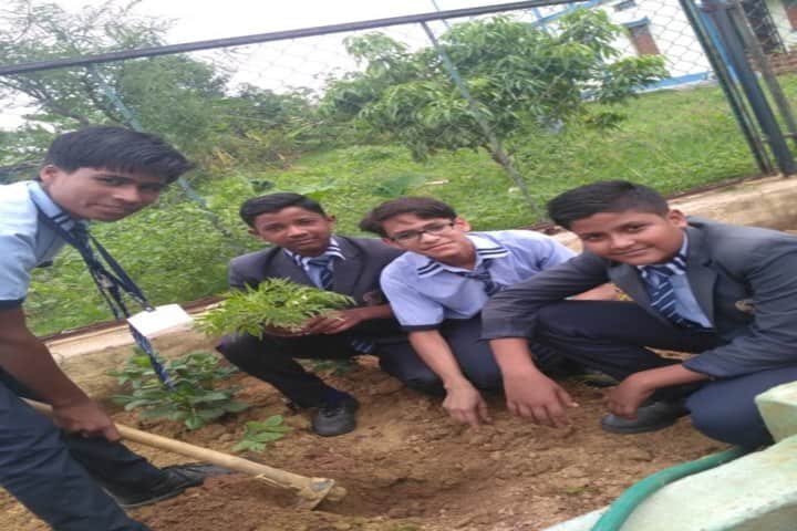 St Maria School-Tree Planting