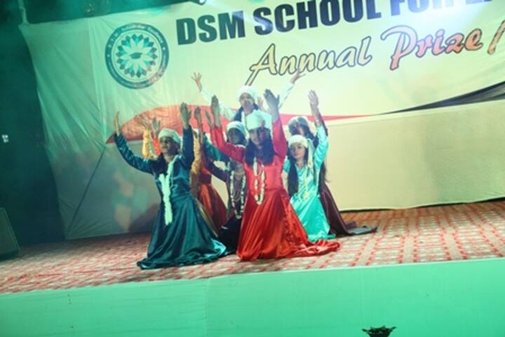 D S M School For Excellence-Annual Day