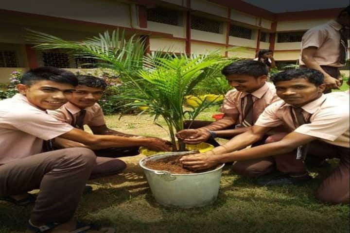 Carmel School-Tree Plantation
