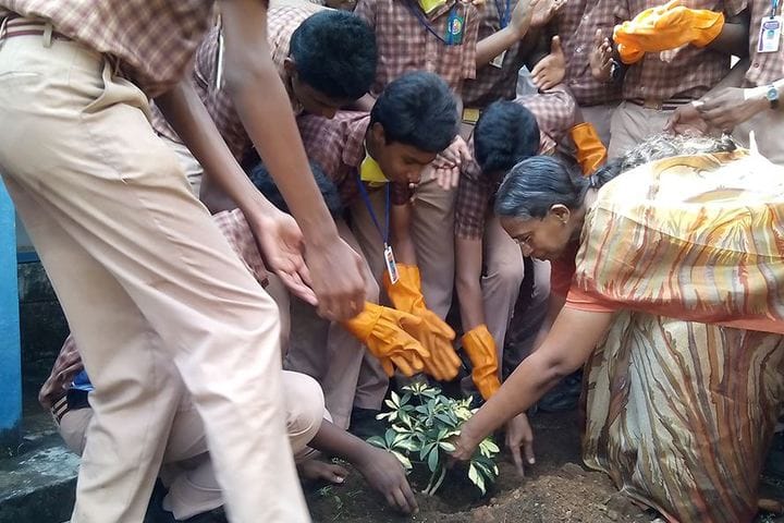 Amrita Vidyalayam-Tree Plantation