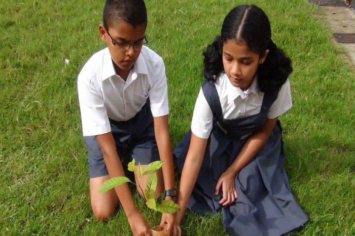Don Bosco Senior Secondary School-Tree Plantation