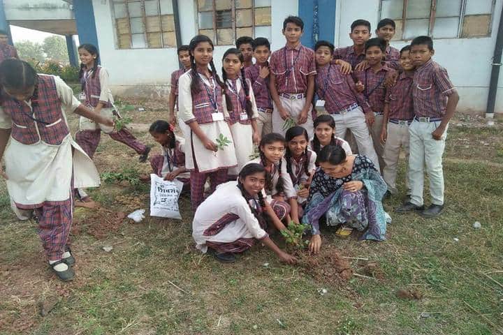 DAV Mukhyamantri Public School-Tree plantation