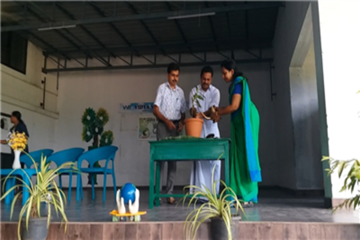 Vidya Vikas School-Environment Day