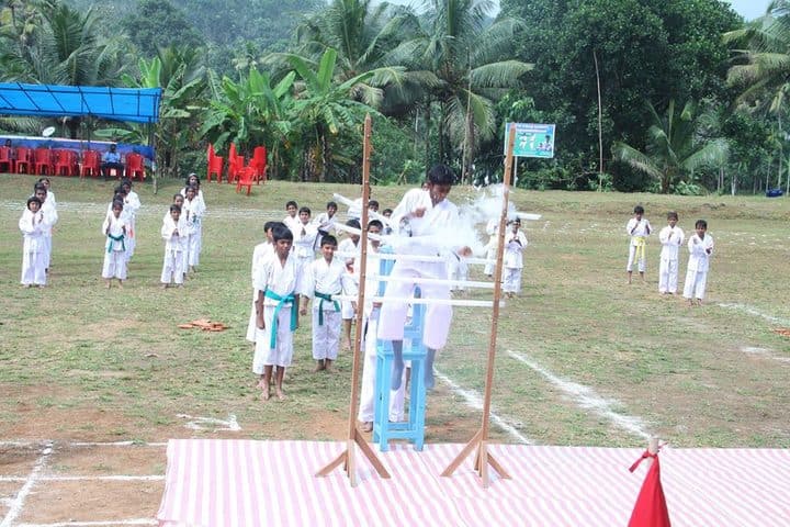 Vidya Vikas School-Karate Activity