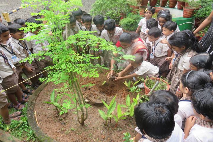Jnanodaya Central School-Plantation