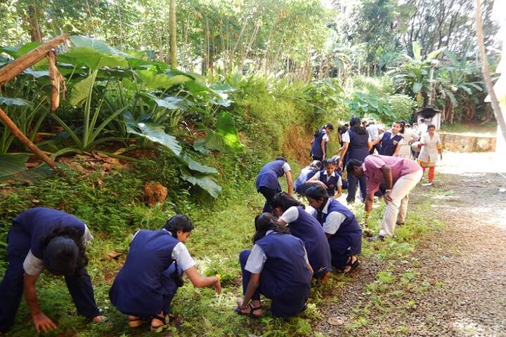 Nirmala Public School-Plantation