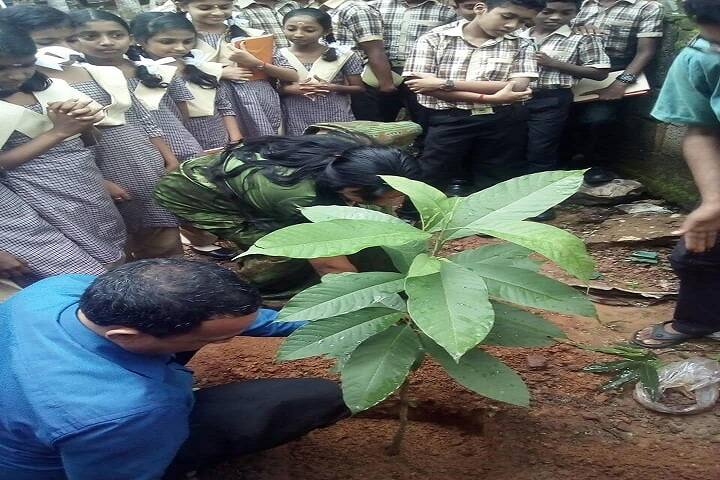 Madhuvan Sai Vidyashram School-Plantations
