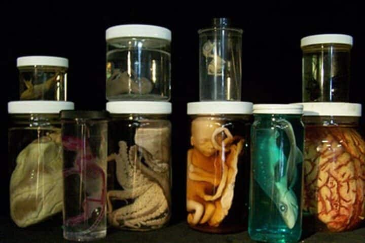 Clarence High School-Biology Lab