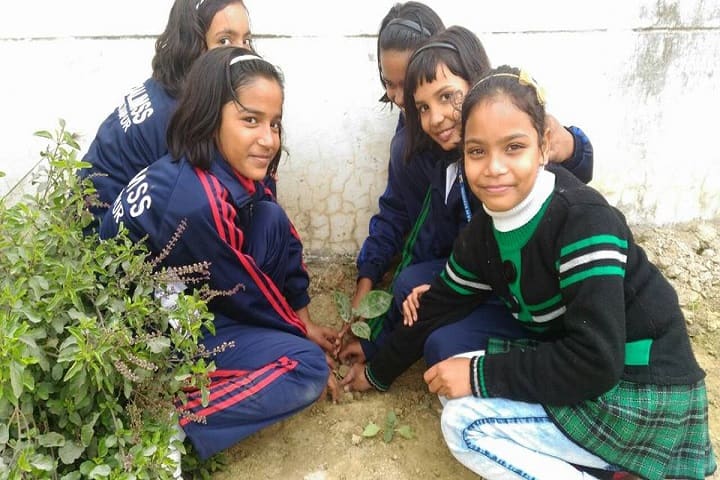 Dalimss Sunbeam School-Plantation