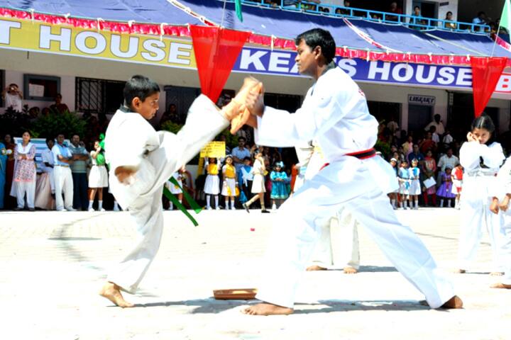 The New Cambridge English School-Karate