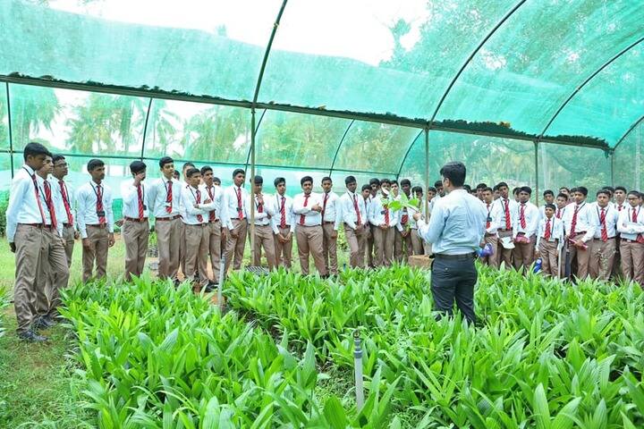 Silas International School-Feild Work