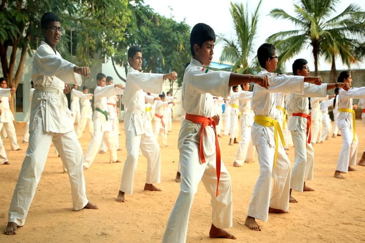 New Baldwin International School-Martial Arts
