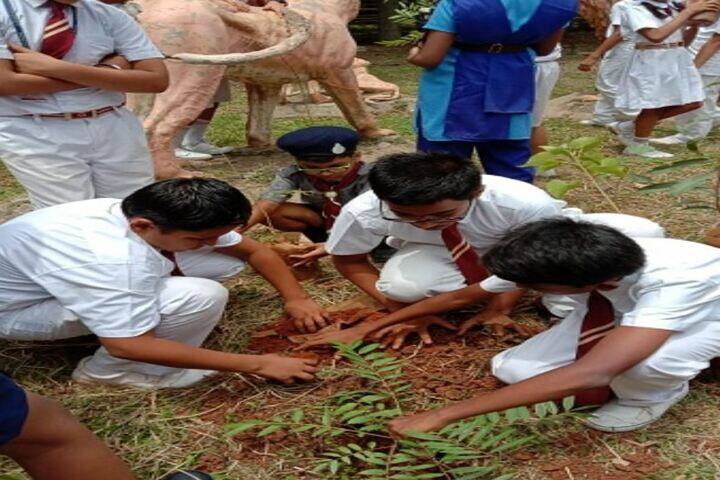 Divine English School-Plantation