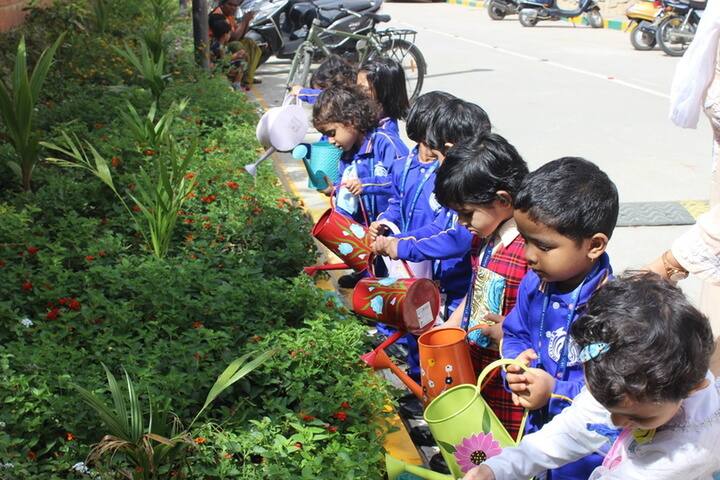 St Francis School-Environment Day