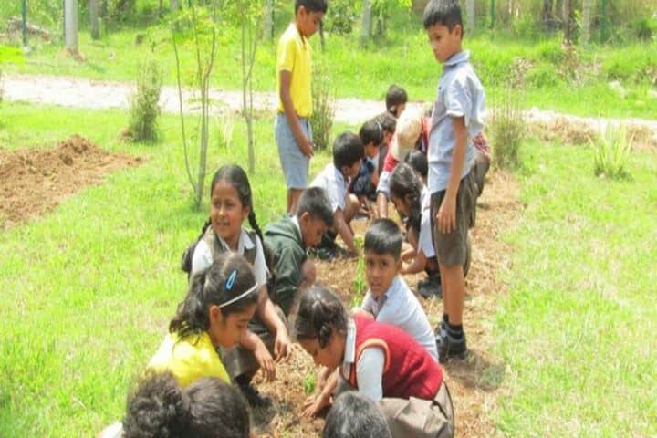Amber Valley Residential School-Plantation