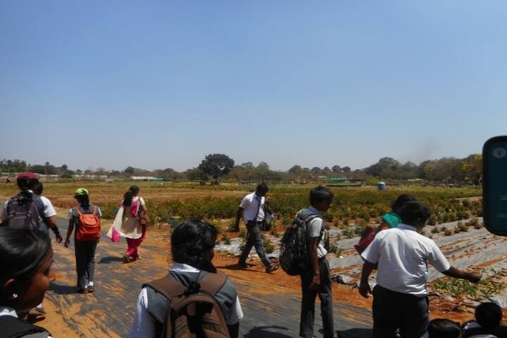 New Millennium School-Field Trip