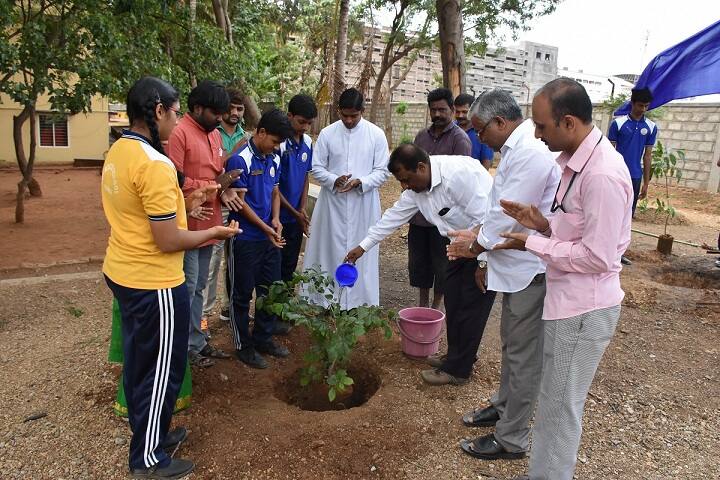 Don Bosco School-Plantations