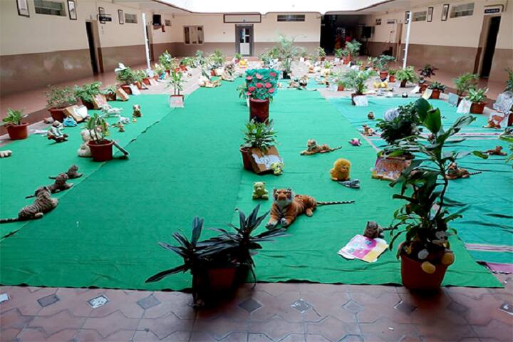 Sarvodaya National Public School-Animal Day Celebrations