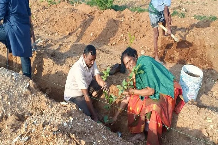 Adhyayan School-Tree Plantations