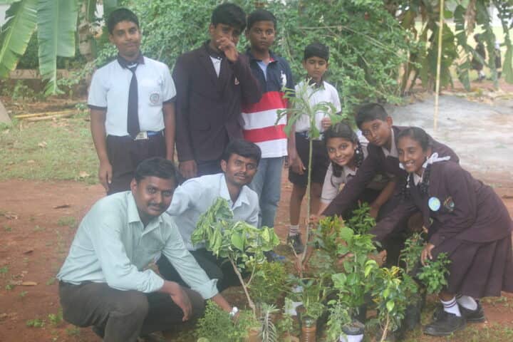 Aditya Public School-Tree Plantation