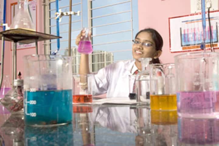 New Indus Valley Residential School-Chemistry Lab