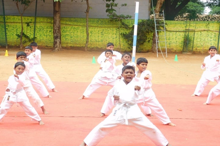 Federal Public School-Karate Classes