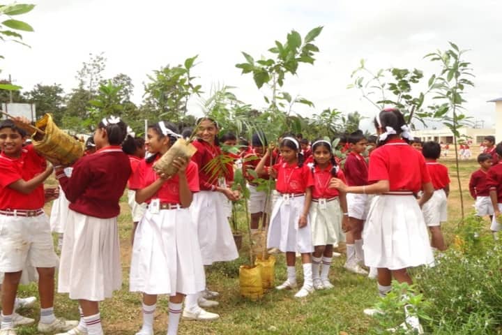 Infant Jesus School-Environment Day