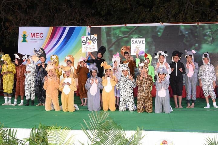 M. E. C. Public School-Fancy Dress