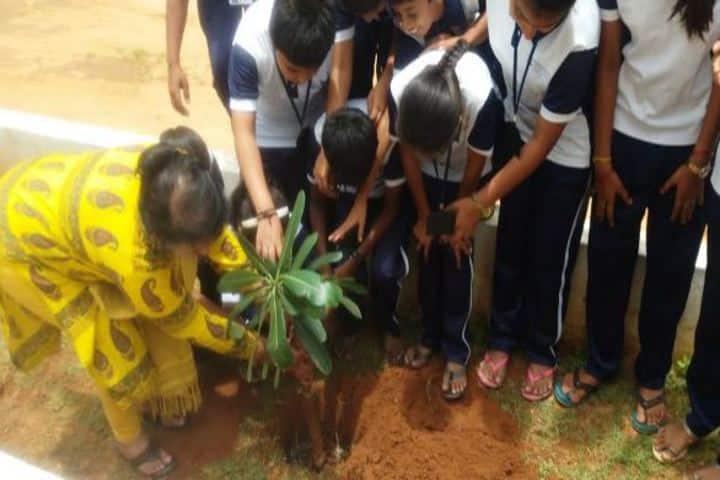 Sri Vivekananda International School-Tree Planting
