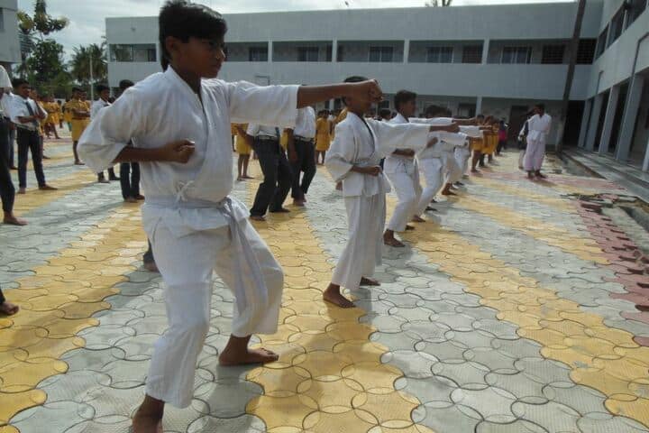 Twinkle United Public School-Karate