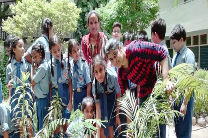 Wendy School Junior College-Tree Plantation