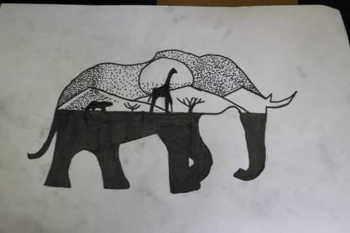 The Sanskaar Valley School-Drawing